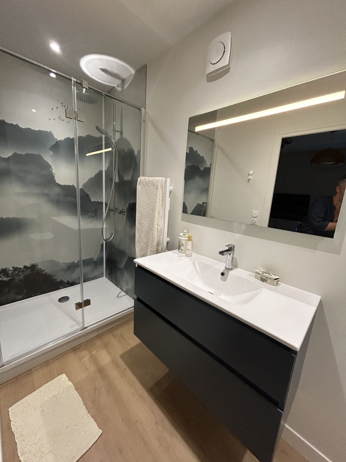 Salle d’eau rénovée avec douche et papier peint paysage